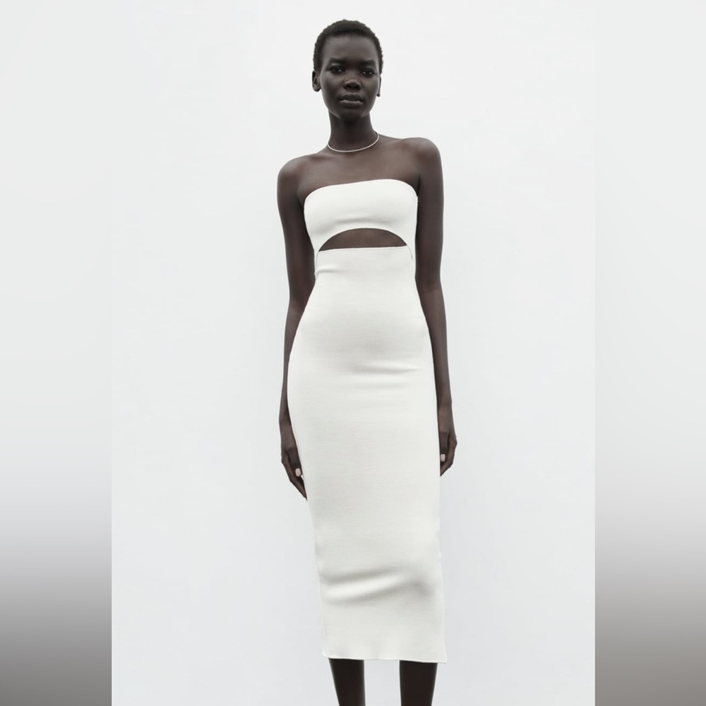 Zara Strapless Cutout Dress